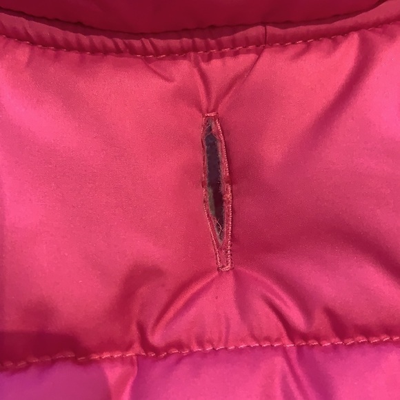 Pink Dog Bubble Jacket - Picture 5 of 7